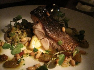 Black Cod 300x225 