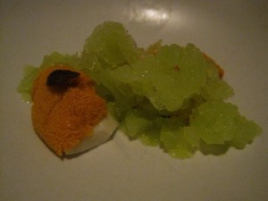 Sea Urchin Benu 300x225 