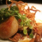 Seared Scallops Seasons Restaurant Seared Scallops Seasons Restaurant 150x150