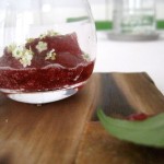 Raspberry Granita La Bigarrade Raspberry Granita La Bigarrade 150x150