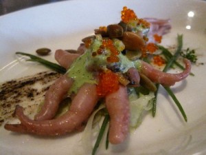 Baby Octopus Mr Pollo 300x225 Baby Octopus Mr Pollo